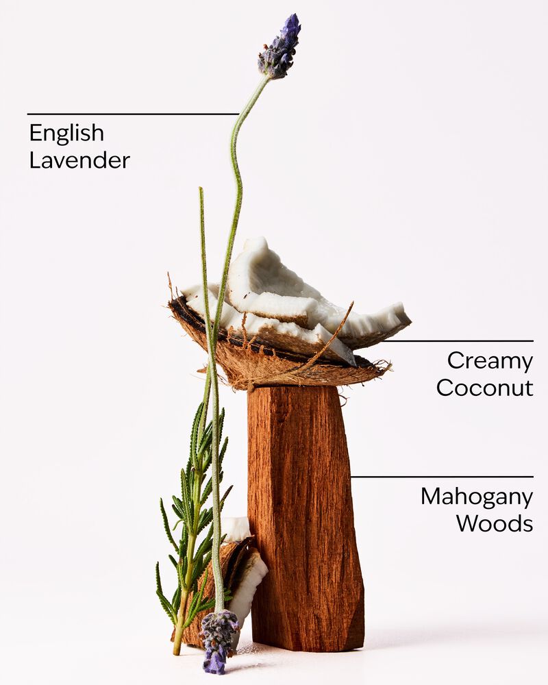 Mahogany Coconut Car Fragrance Refill Car Fragrance Refill