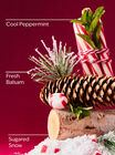 Twisted Peppermint Car Fragrance Refill image number null