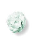 Vanilla Bean Noel Shapeable Soap image number null