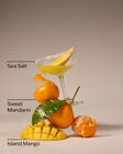 Island Margarita Mason Single Wick Candle image number null