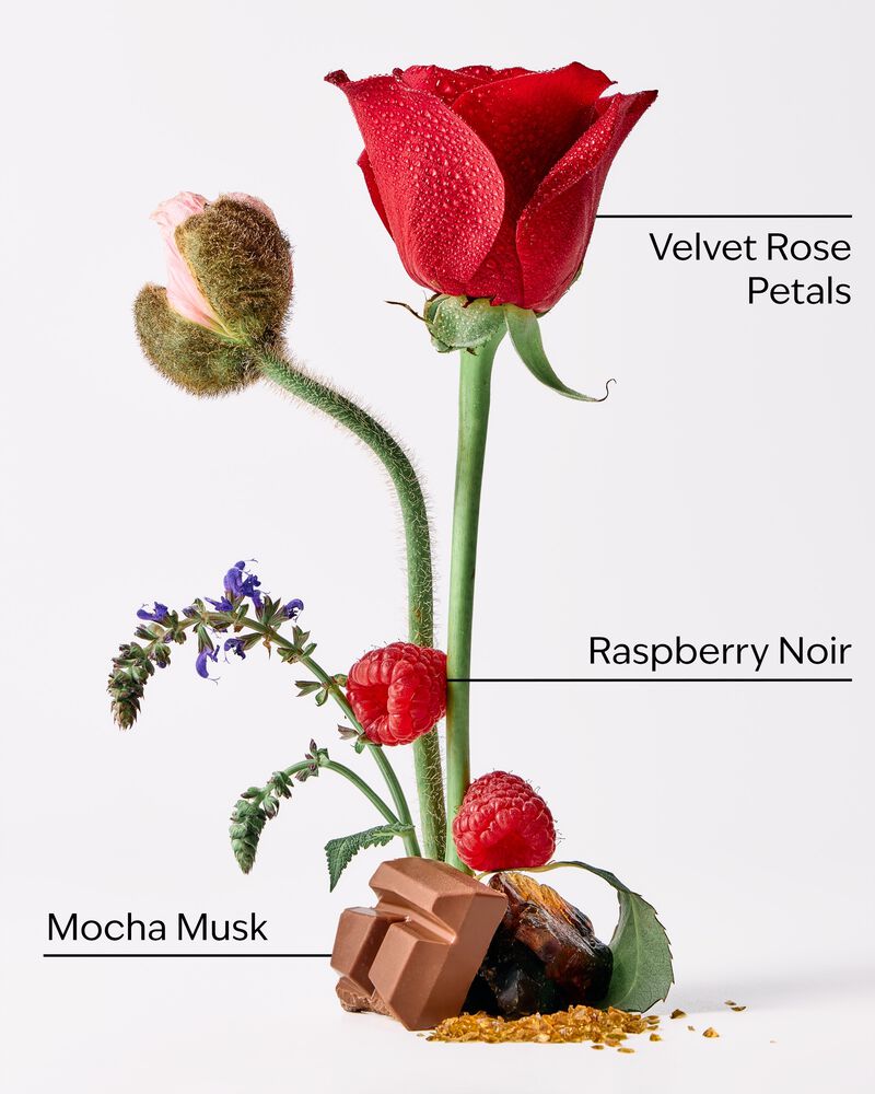 Into The Night 3-Wick Candle 3-Wick Candle