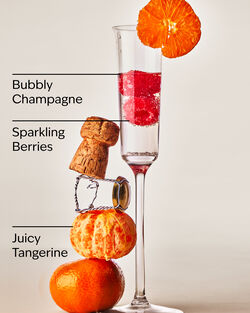 Champagne Toast Gift Bag Set image number null