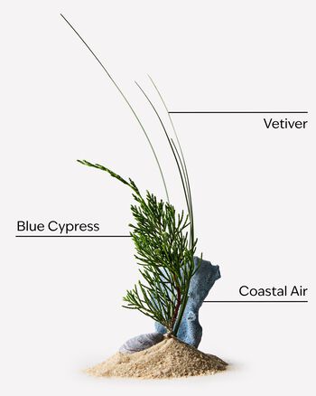 Ocean Body Wash Body Wash