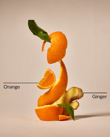 Orange Ginger Ultimate Hydration Body Cream Ultimate Hydration Body Cream