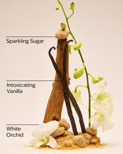 Warm Vanilla Sugar Fine Fragrance Mist image number null