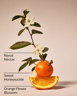 Backyard Honeysuckle 3-Wick Candle image number null