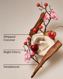 Tropical Cherry Wallflowers Fragrance Refill image number null