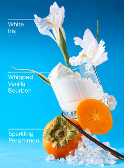 Magic In The Air Wallflowers Fragrance Refill image number null