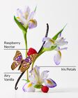 Butterfly Ultimate Hydration Body Cream image number null