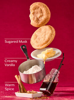 Sugared Snickerdoodle Mason Single Wick Candle image number null