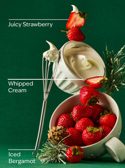 Strawberry Snowflakes Wallflowers Fragrance Refill image number null