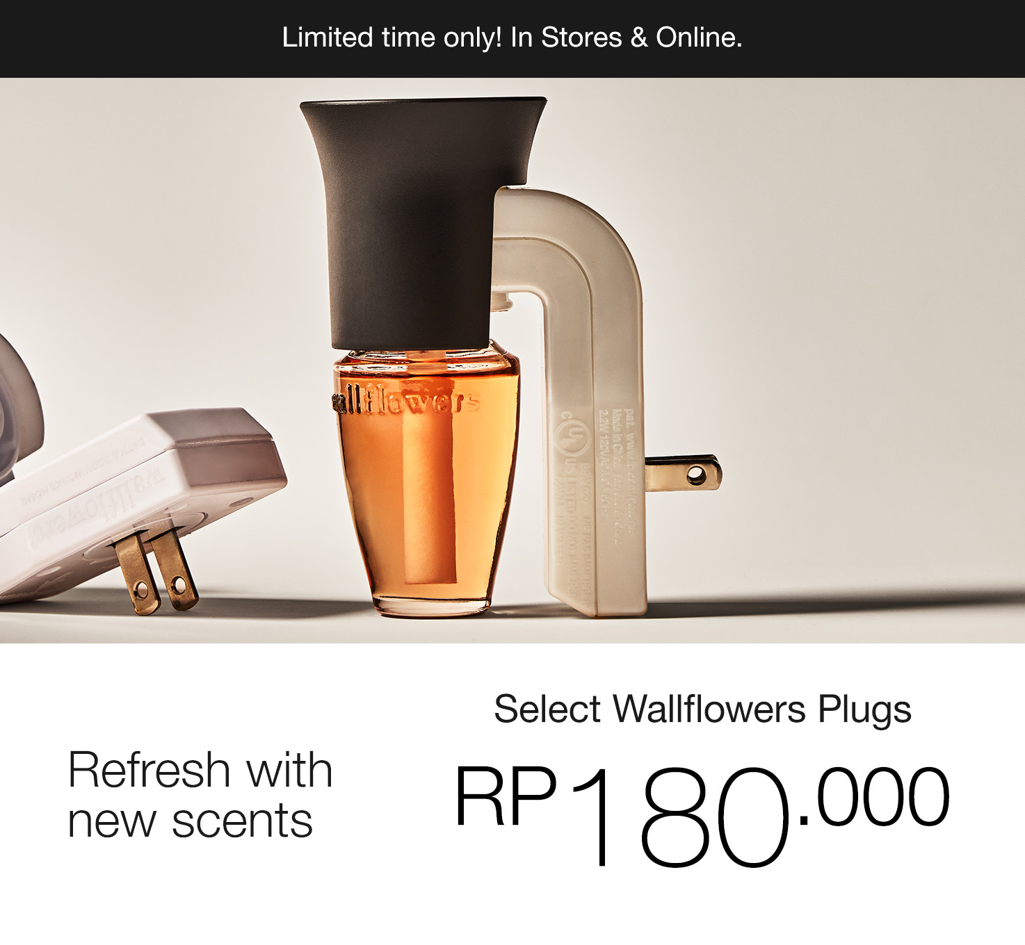 Wallflowers Plugs, Starts From Rp 180.000