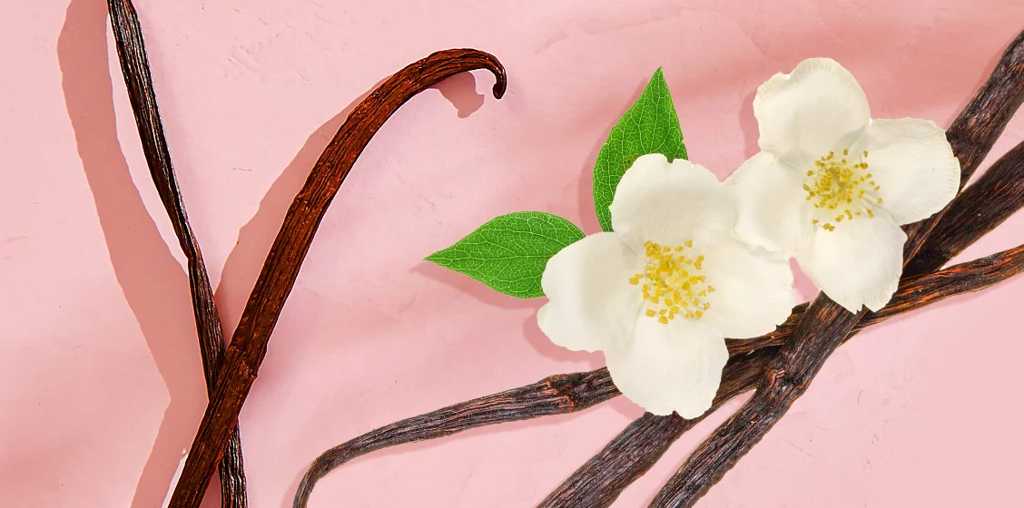 Fragrance Obsession: Vanilla